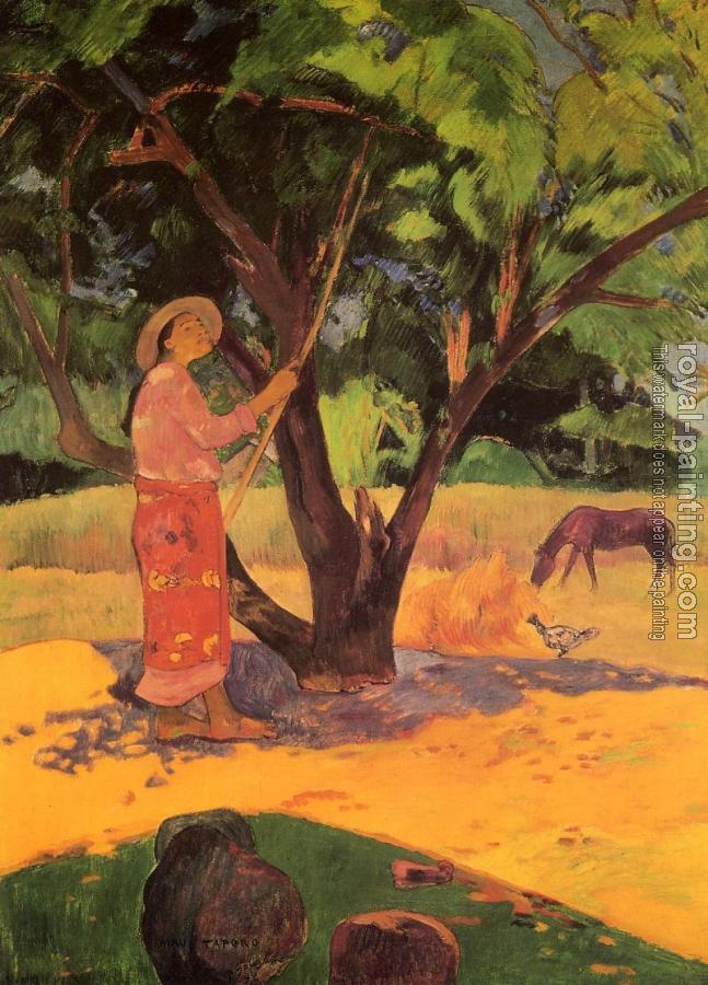Paul Gauguin : The Lemon Picker